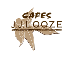 JJ Looze